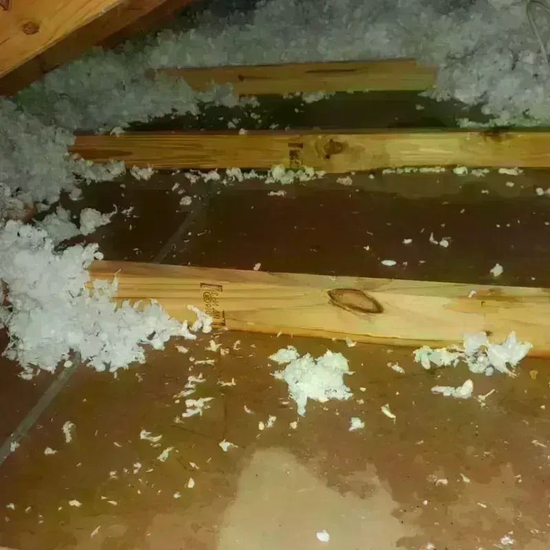 Attic Water Damage in Hazel Green, WI