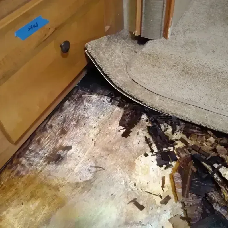 Wood Floor Water Damage in Hazel Green, WI